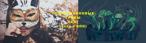 дурь Алексеевка