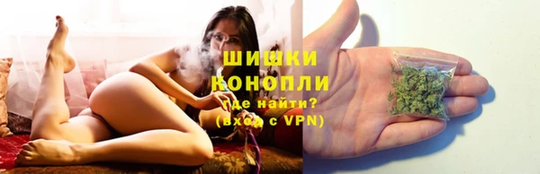 дурь Алексеевка