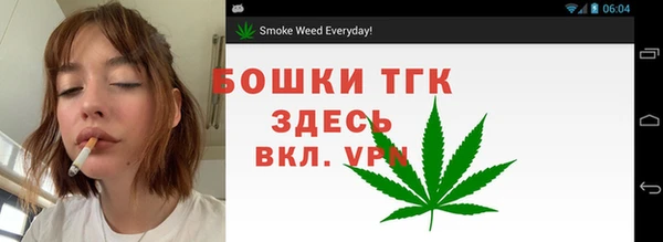 дурь Алексеевка