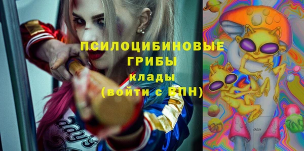 дурь Алексеевка