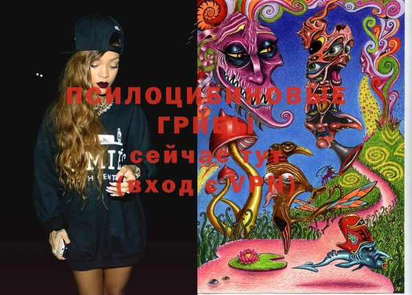 mdma Новодвинск