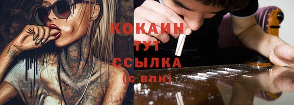 крисы Алзамай