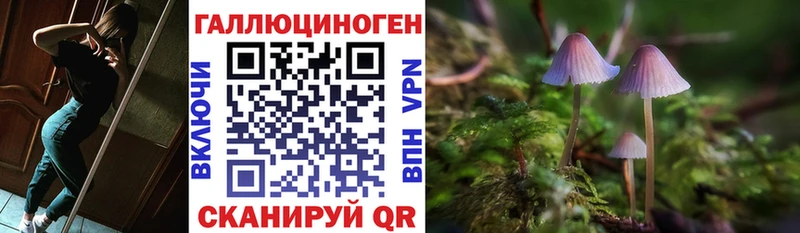 KRAKEN рабочий сайт  купить закладку  Андреаполь  Галлюциногенные грибы ЛСД 