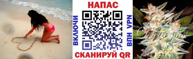 Шишки марихуана планчик Андреаполь